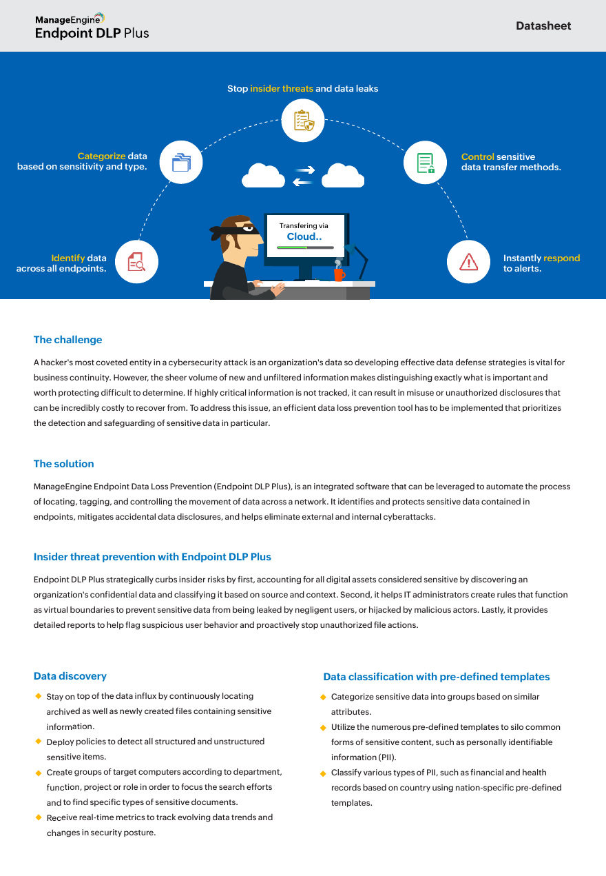 Thumbnail for Endpoint DLP Plus - Datasheet document